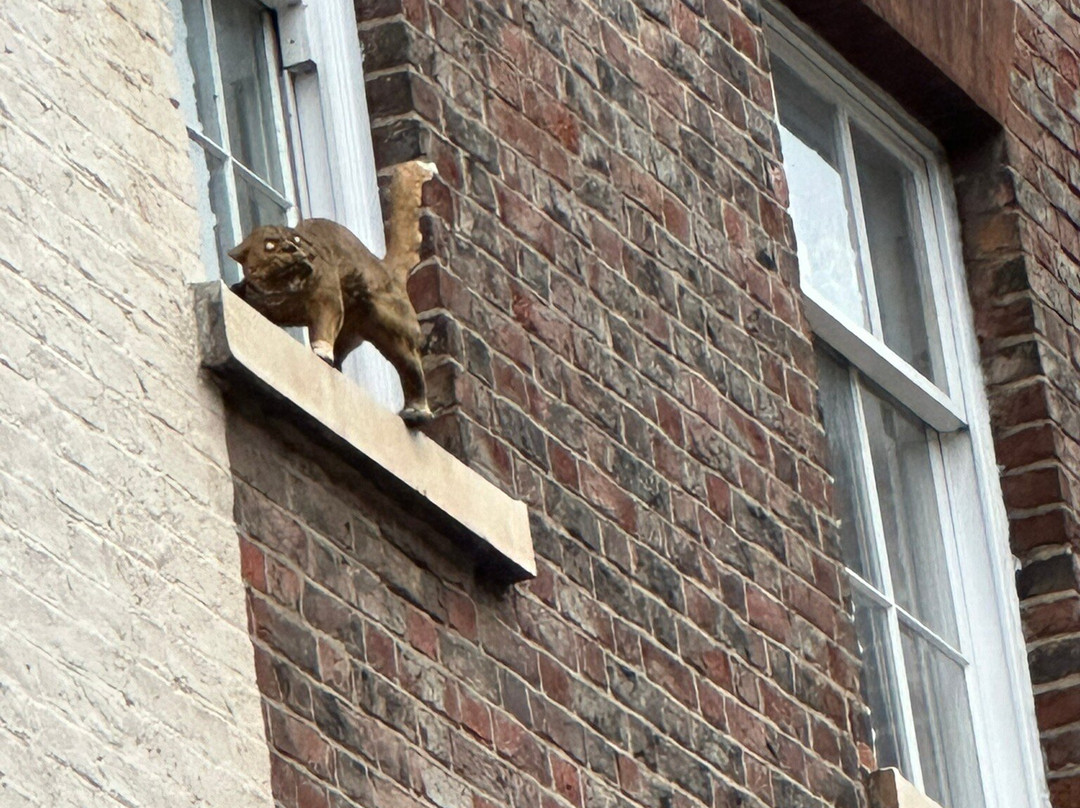 York Cat Trail-约克必去景点