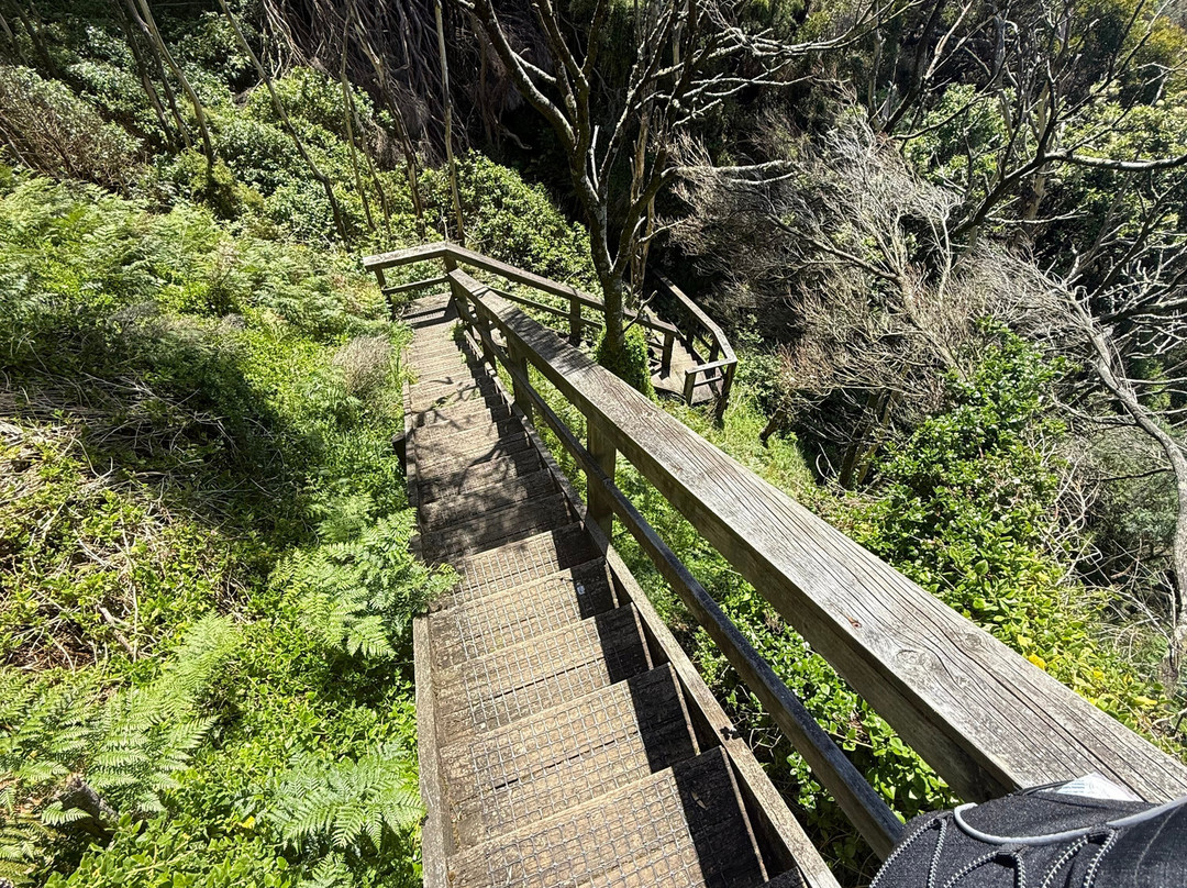 Walk91-阿波罗湾必去景点