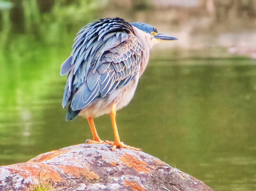 Parque Carlos Sarmiento Lora