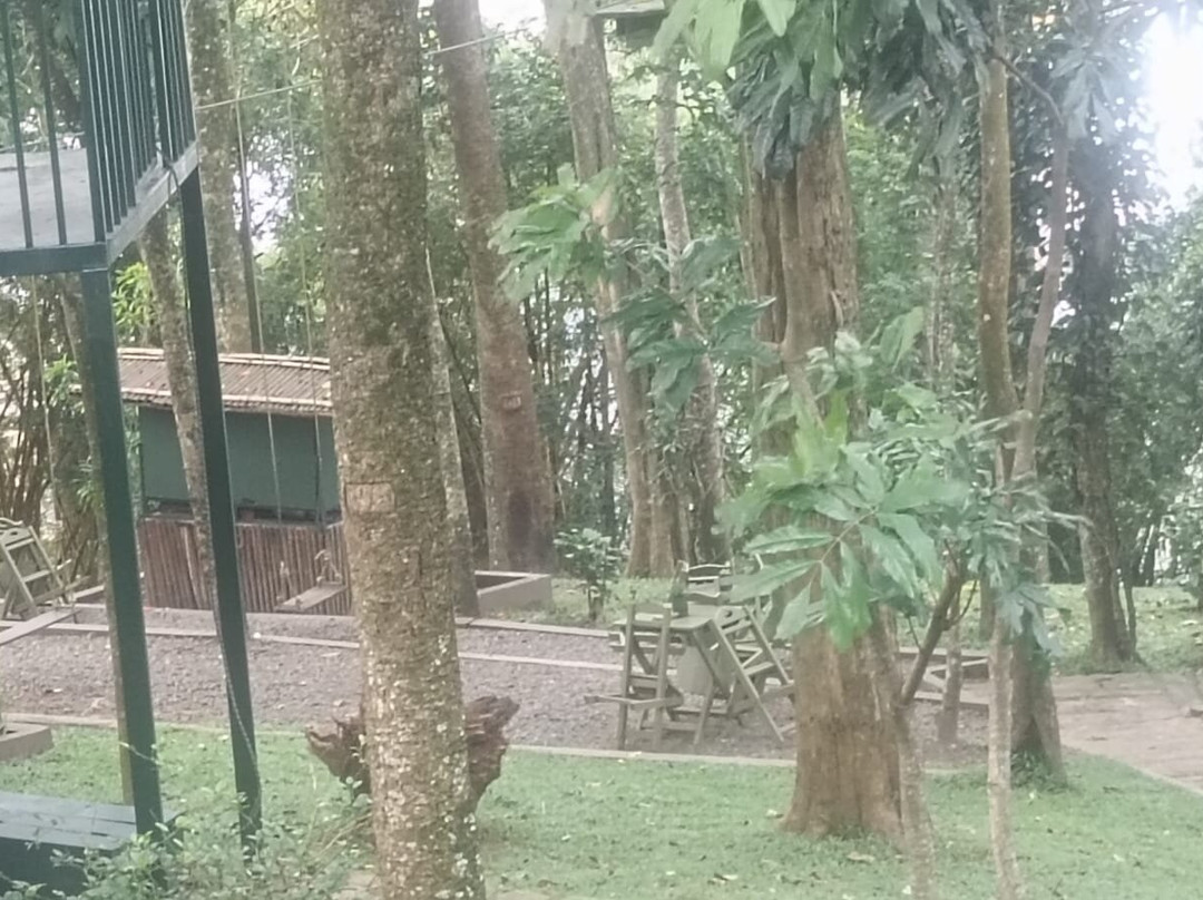 绿林度假村主图