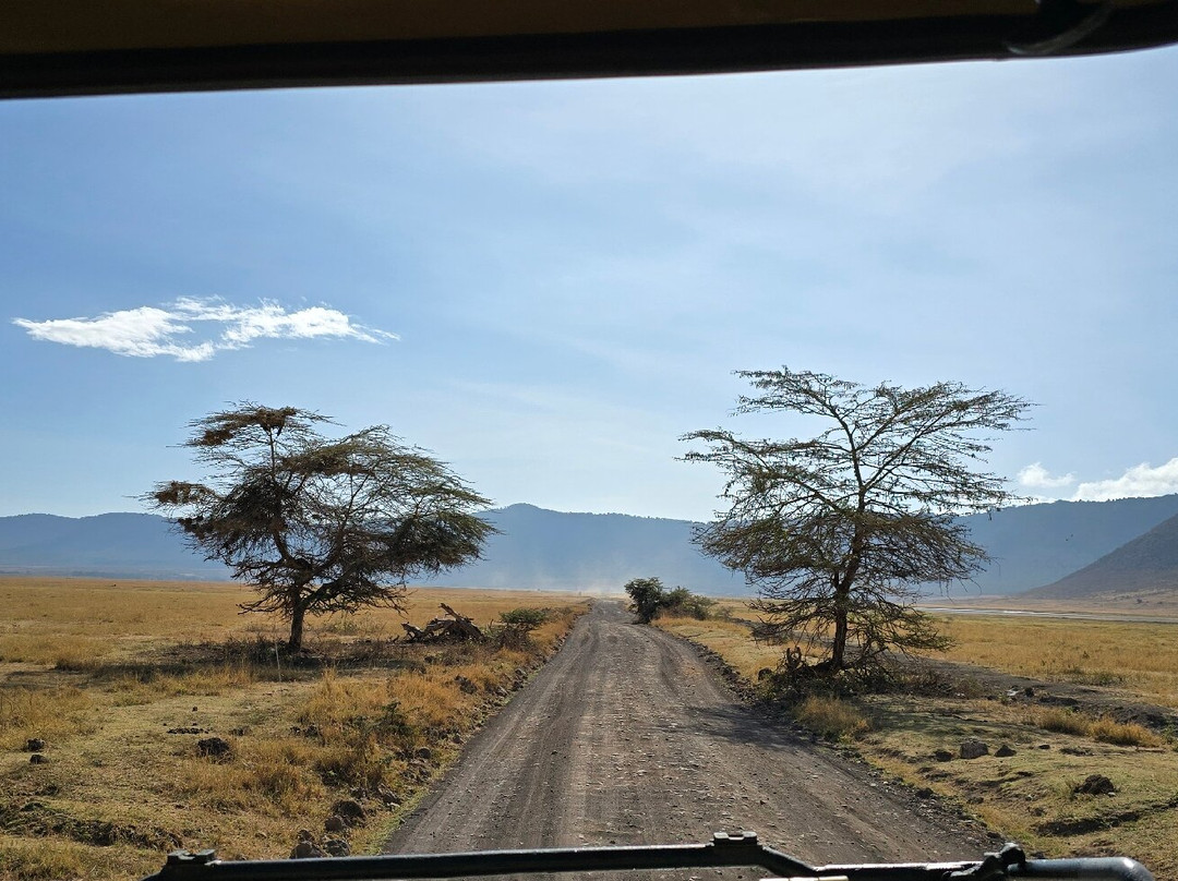 Meijo Safaris-阿鲁沙区必去景点