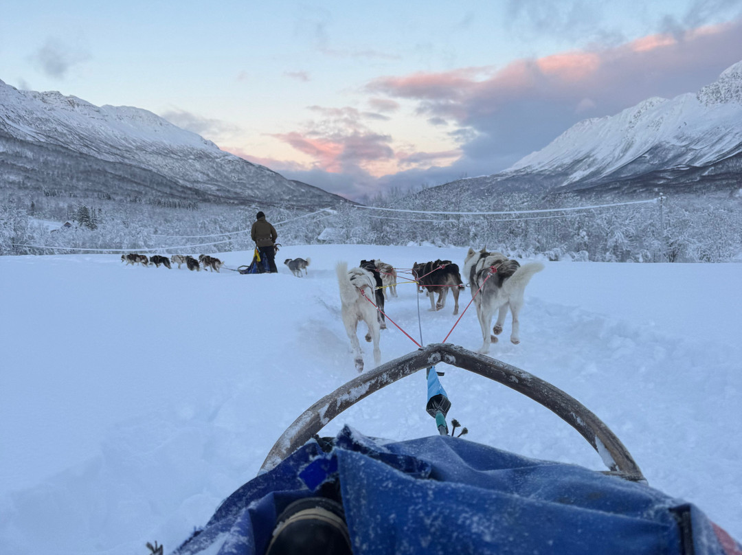 Northern Light Dog Adventure-Nordkjosbotn必去景点