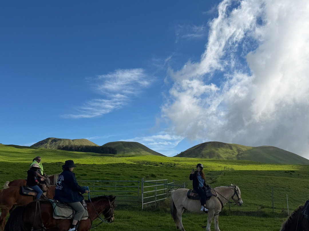 Na'alapa Stables - Kahua Ranch-卡慕也拉必去景点