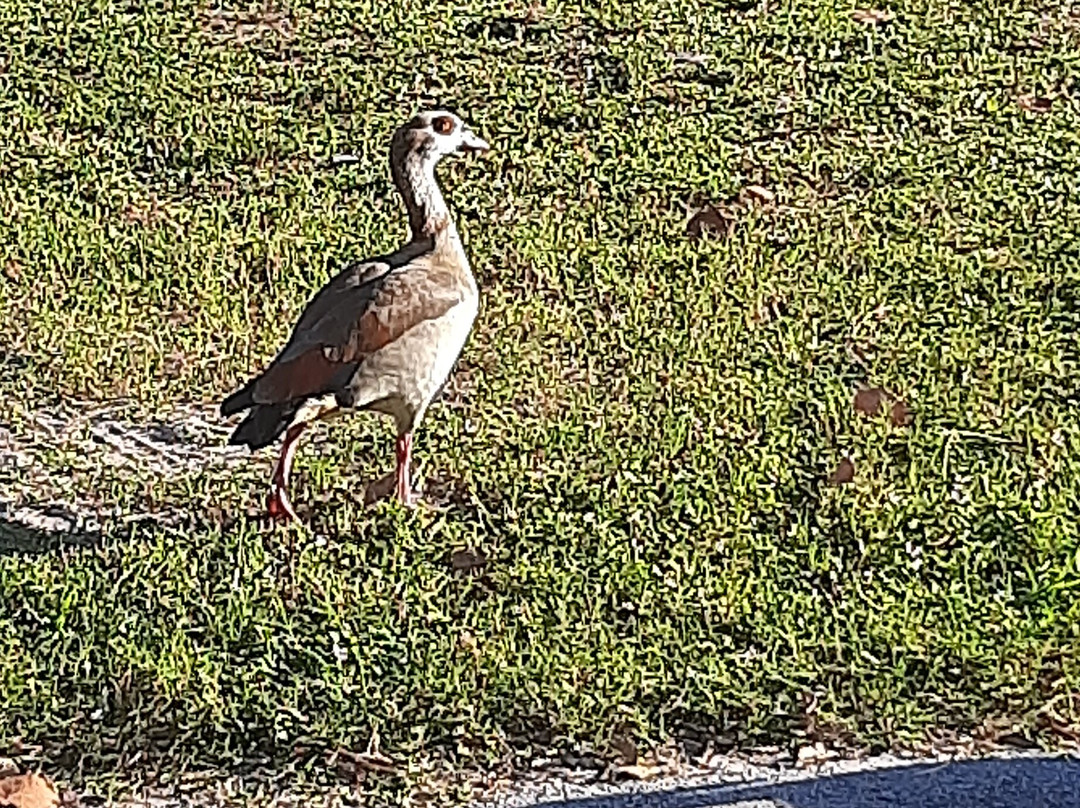 Crandon Park-比斯坎湾必去景点