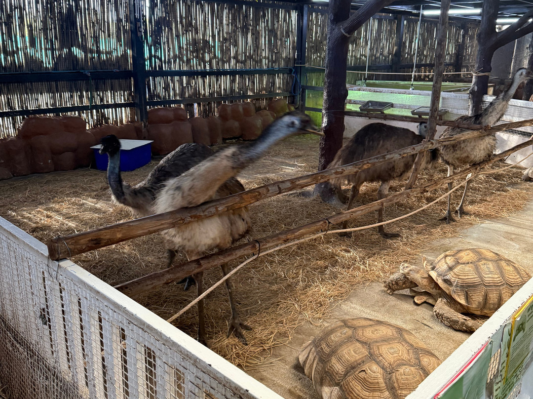 Monster Aquarium-芭堤雅必去景点