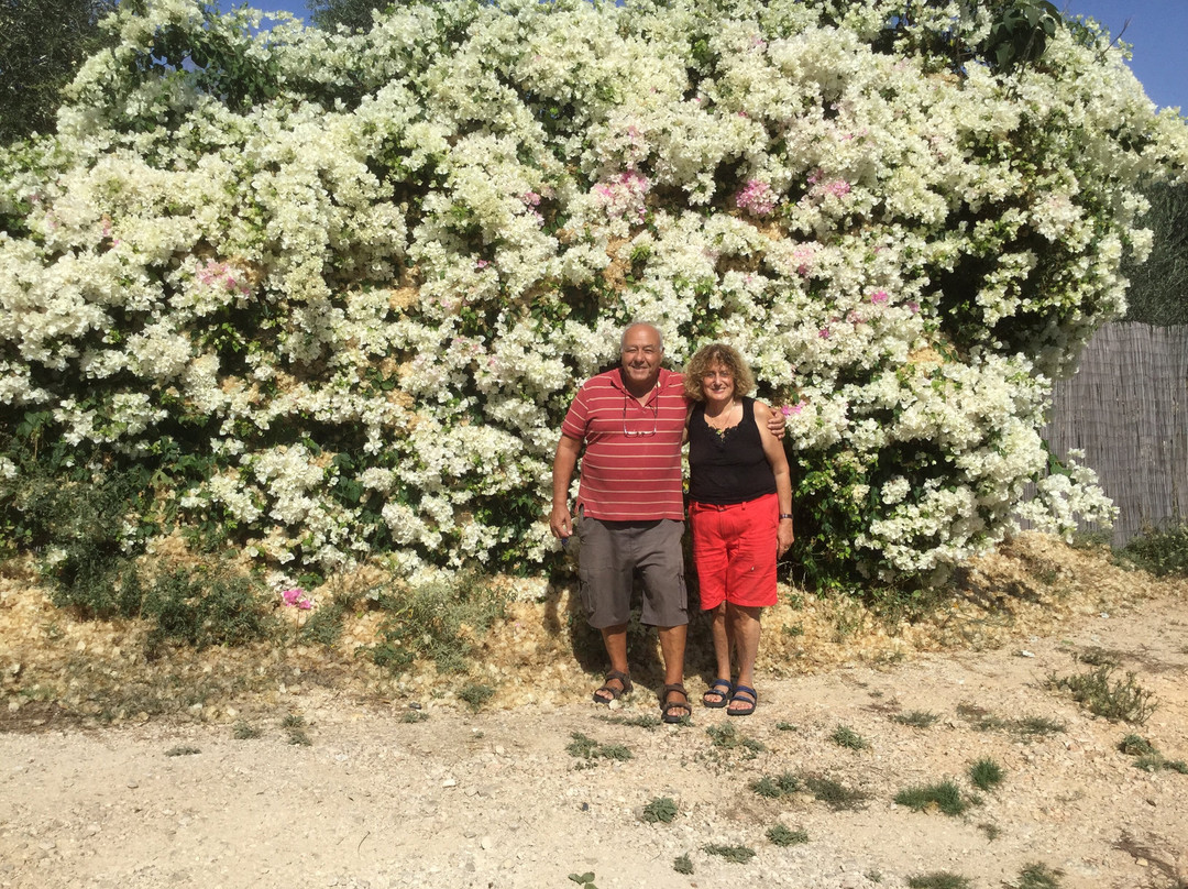 Bella Troun Guest House主图