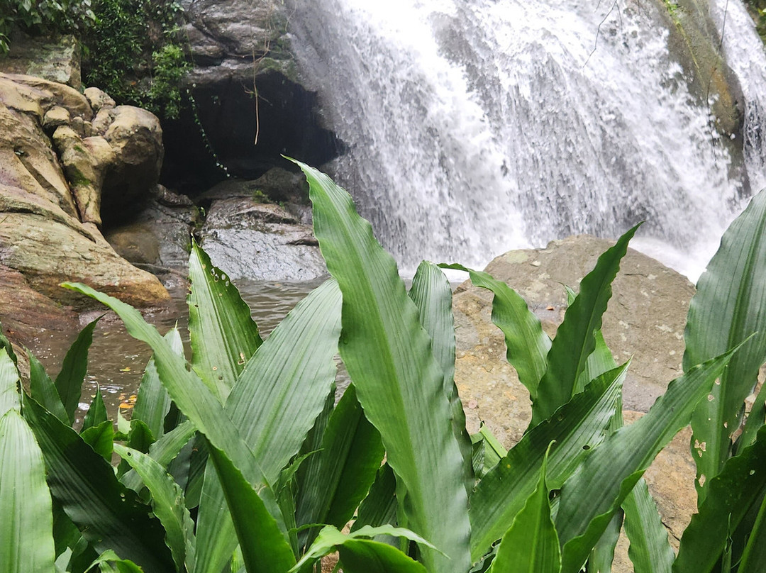 Ceylon Escapes-科伦坡必去景点