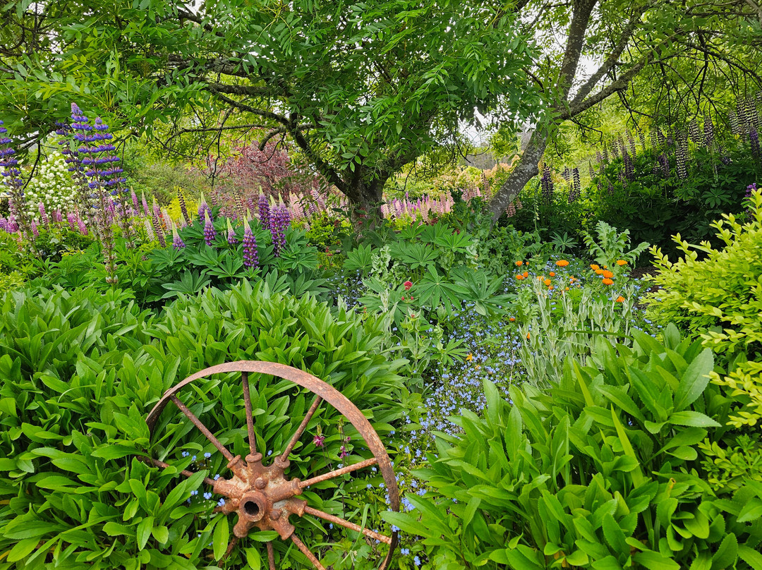 哈姆雷特丘陵地区住宿主图