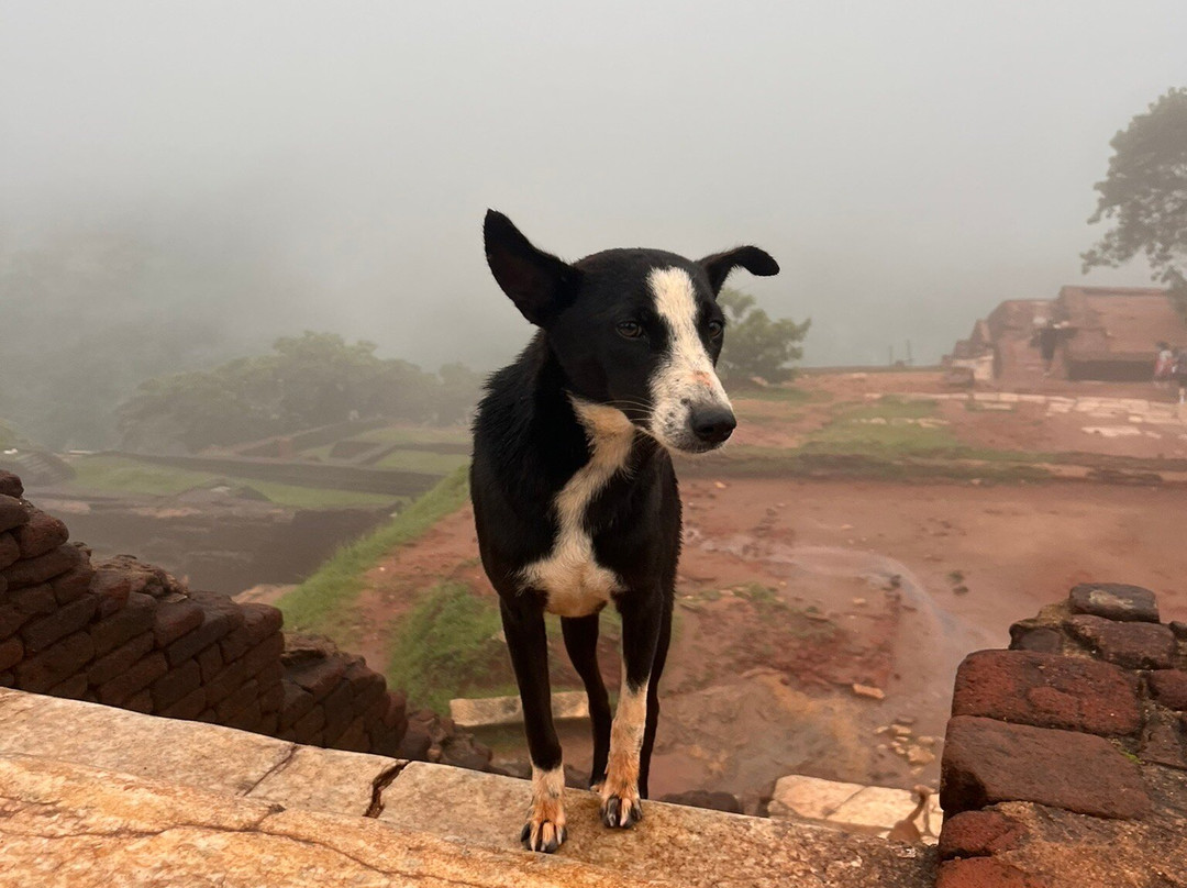 H.O.T Tourism-科伦坡必去景点