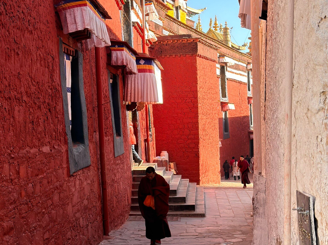 Xizang Vista-拉萨市必去景点