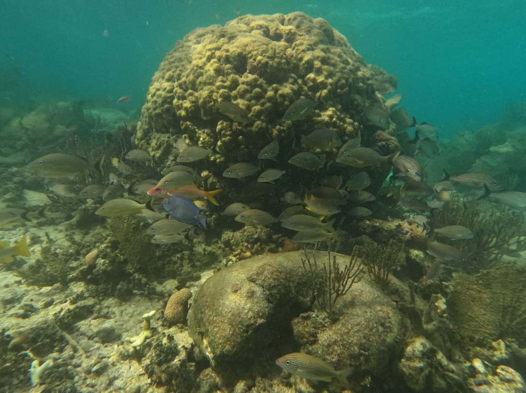 Lizeta Tours-Mahahual必去景点