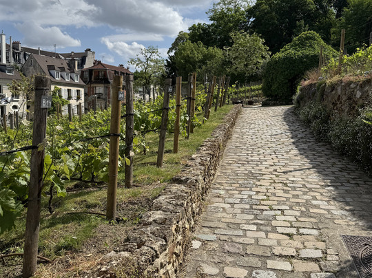 蒙马特葡萄园-巴黎必去景点