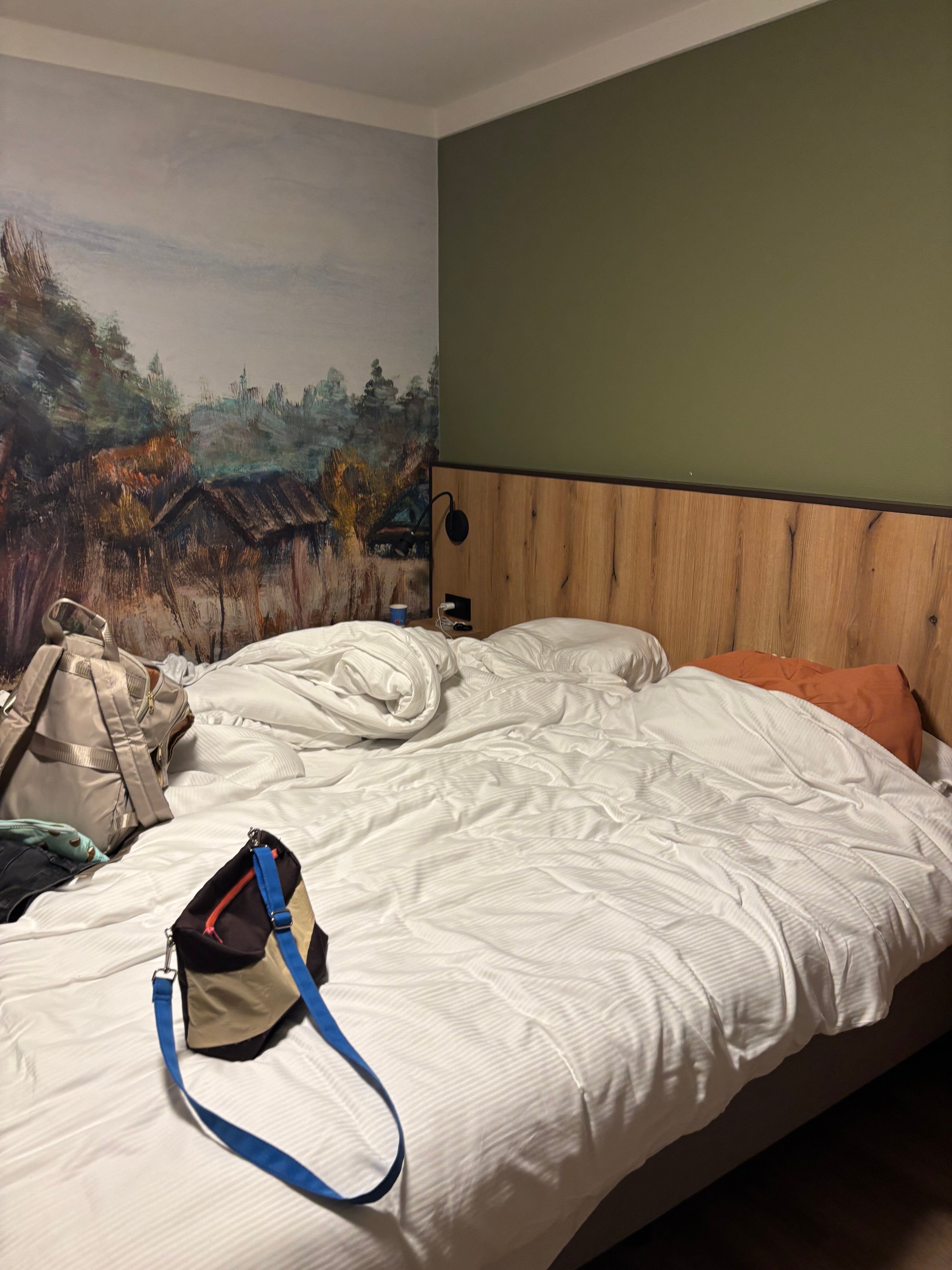 Fletcher Hotel-Restaurant Het Witte Huis-客卧