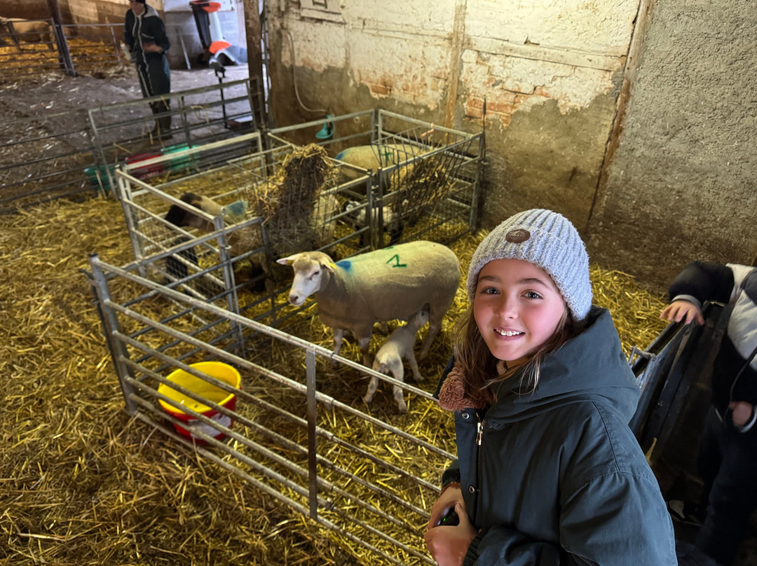 Domaine Les Bachats主图