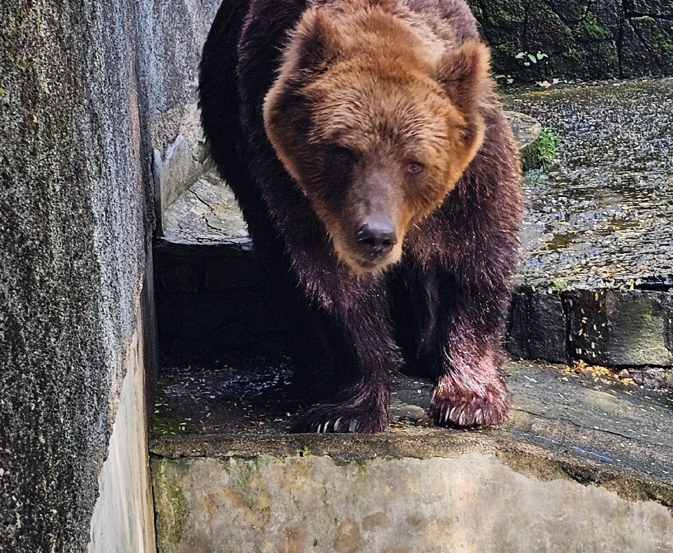 National Zoological Gardens of Sri Lanka-拉非尼亚山必去景点