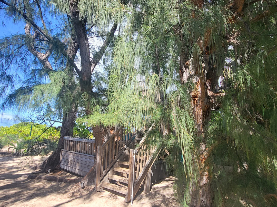 La Villa de la Plage主图