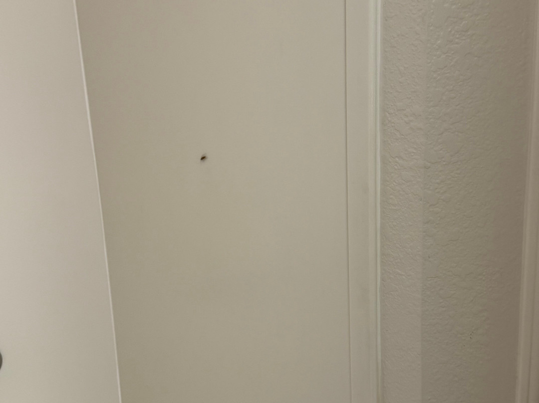 La Quinta Inn & Suites by Wyndham Atlanta Conyers主图