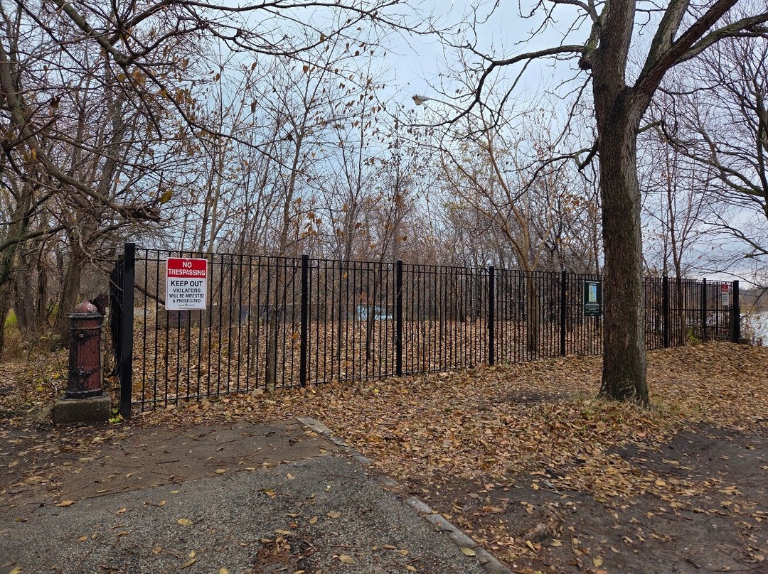 Jackson Park's Japanese Garden-芝加哥必去景点