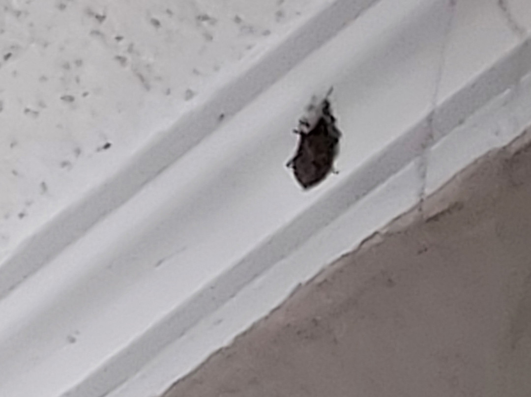 Days Inn by Wyndham Lenoir City主图