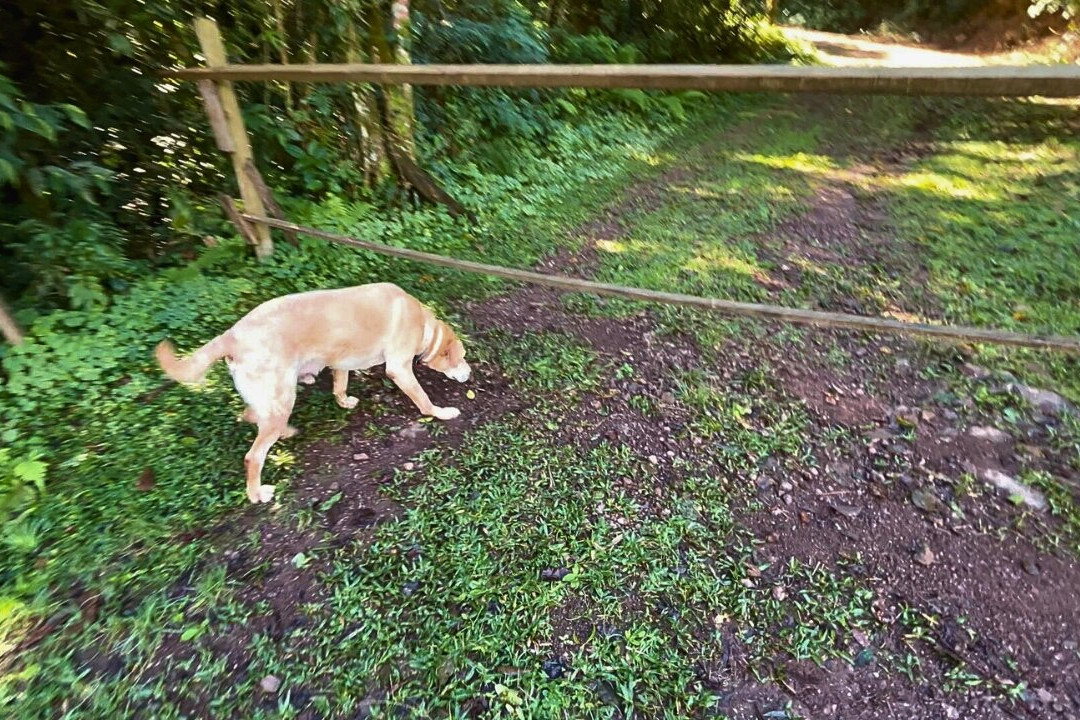 Cachoeira Garapiá-Maquine必去景点