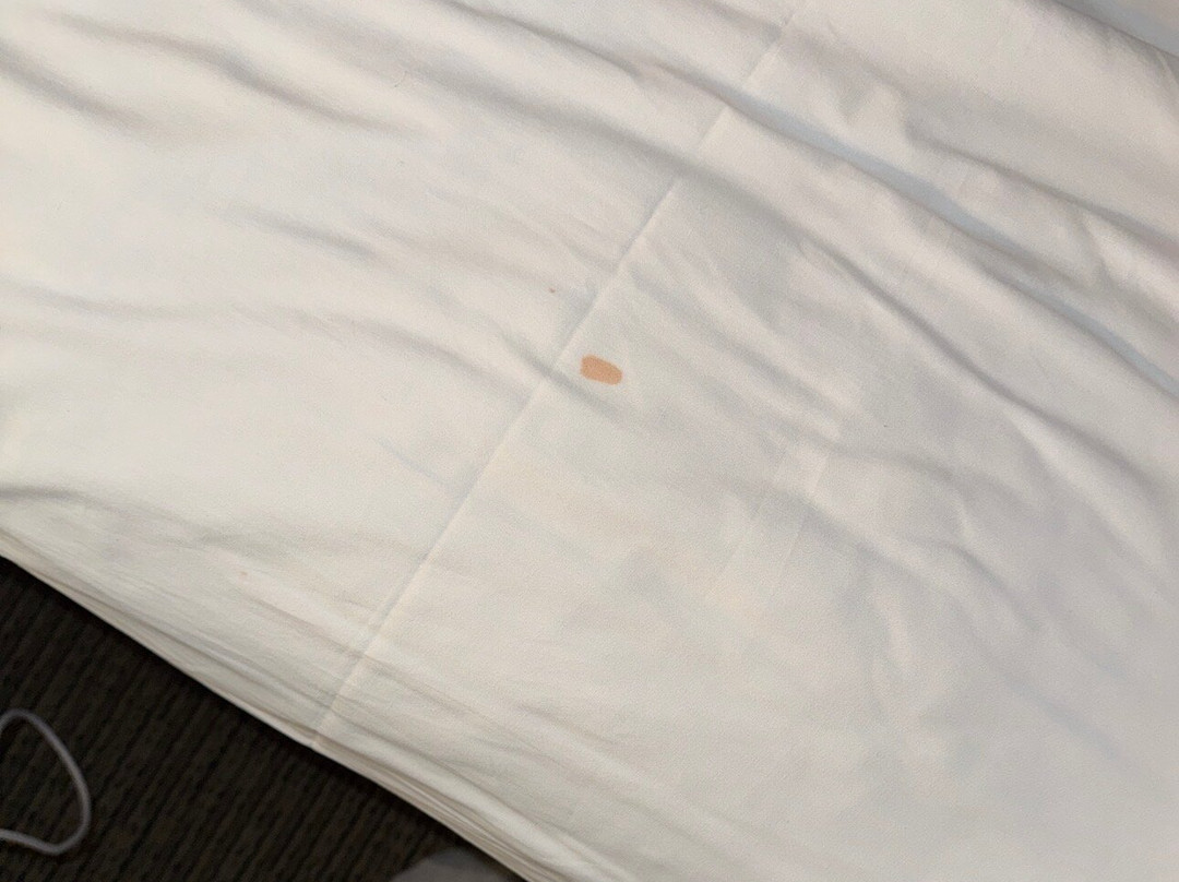 Great Wolf Lodge-拉格兰奇必去景点