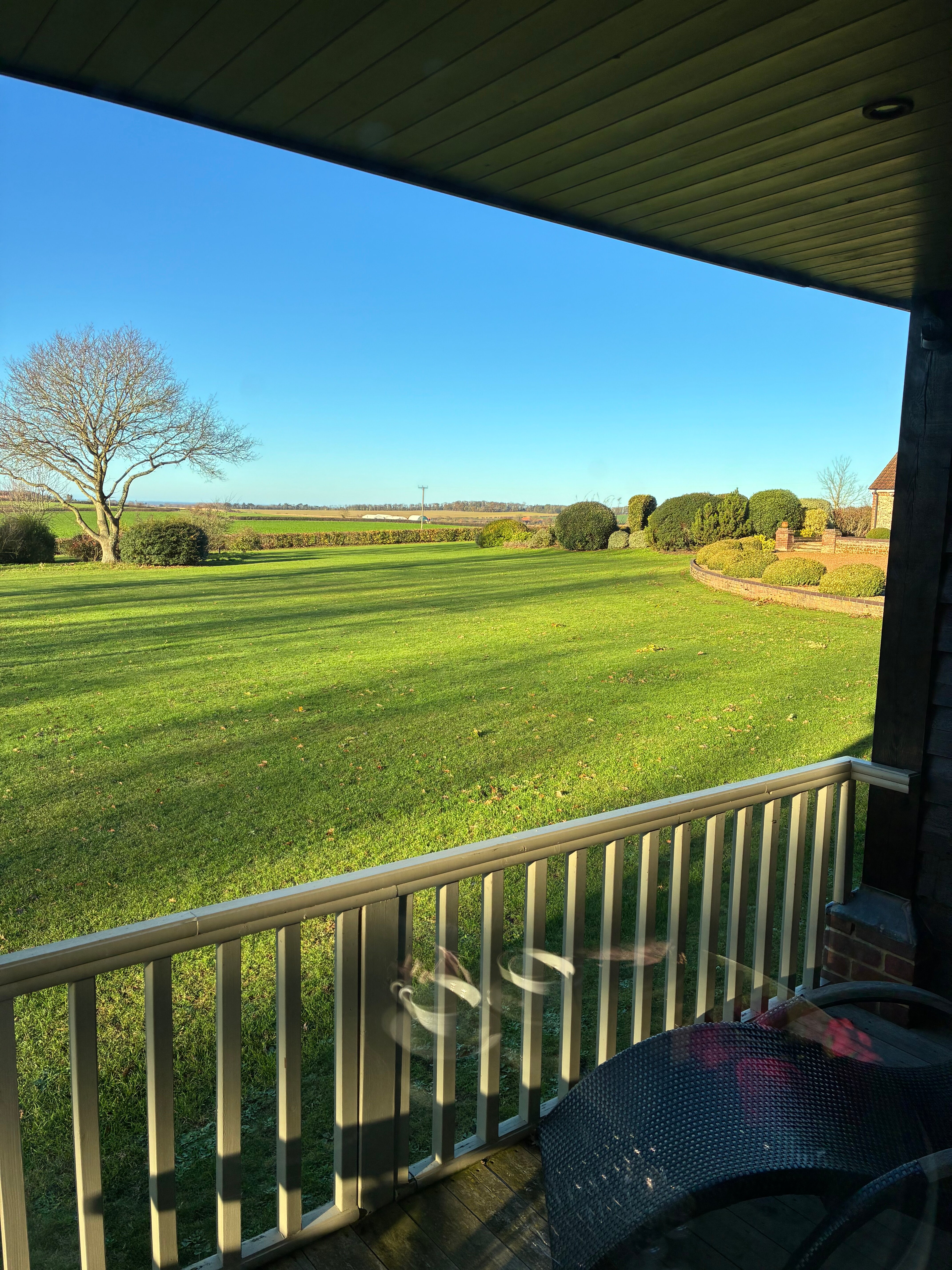 Magazine Wood-官方