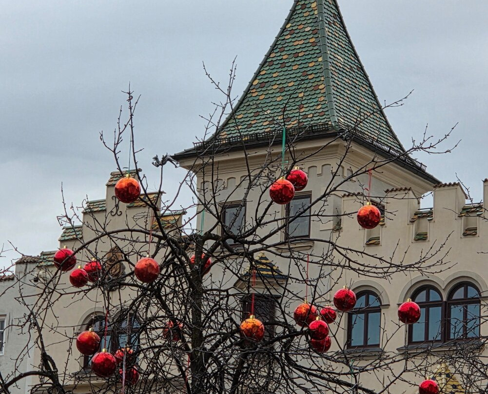 Palazzo Municipale-布雷萨诺内必去景点