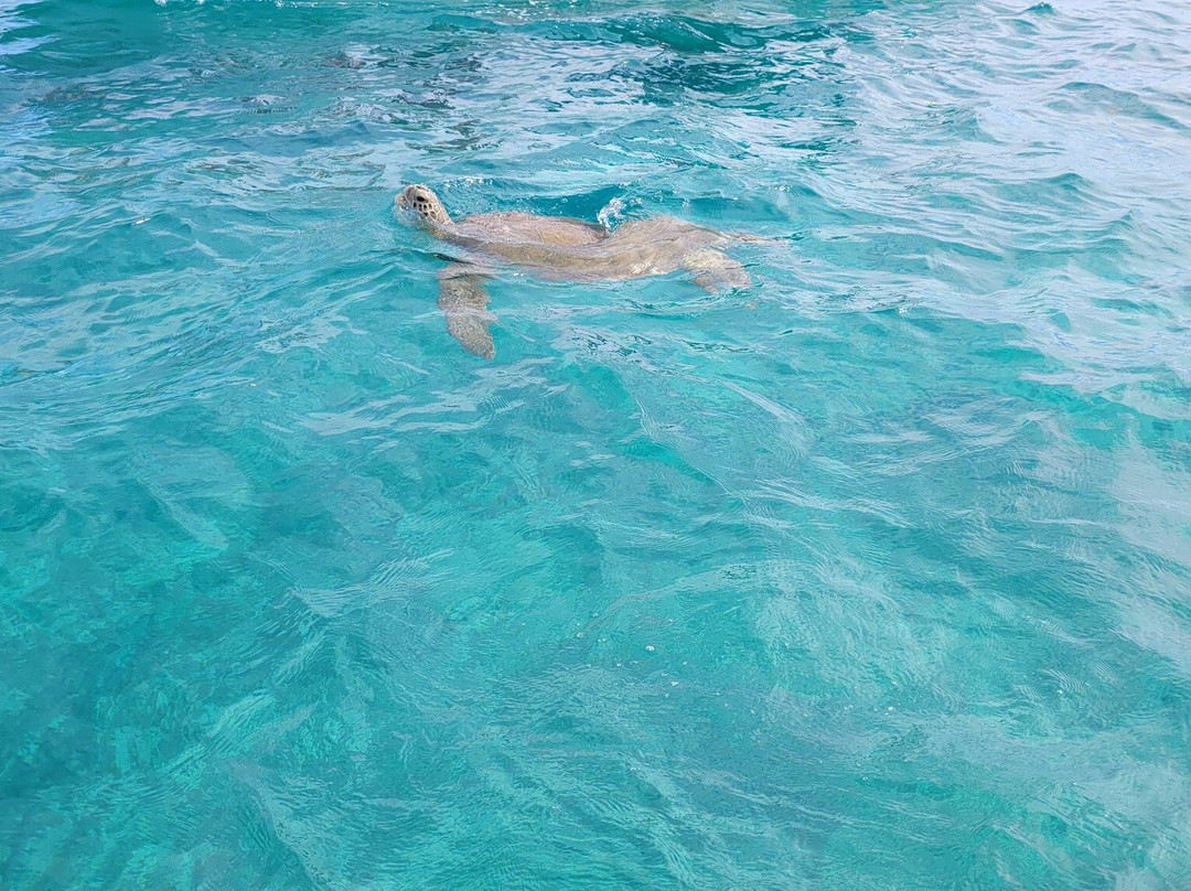 Santi Tour-普拉亚德尔卡曼必去景点