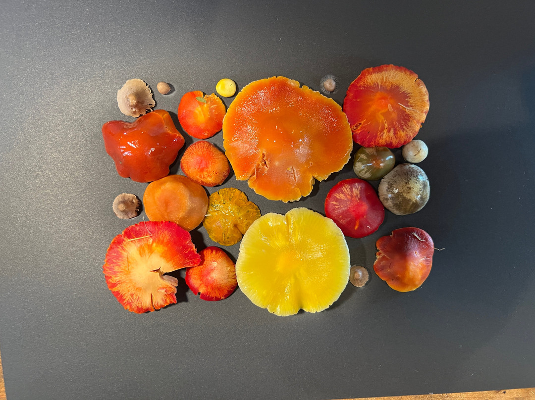 Hepple Wilds Estate-Rothbury必去景点