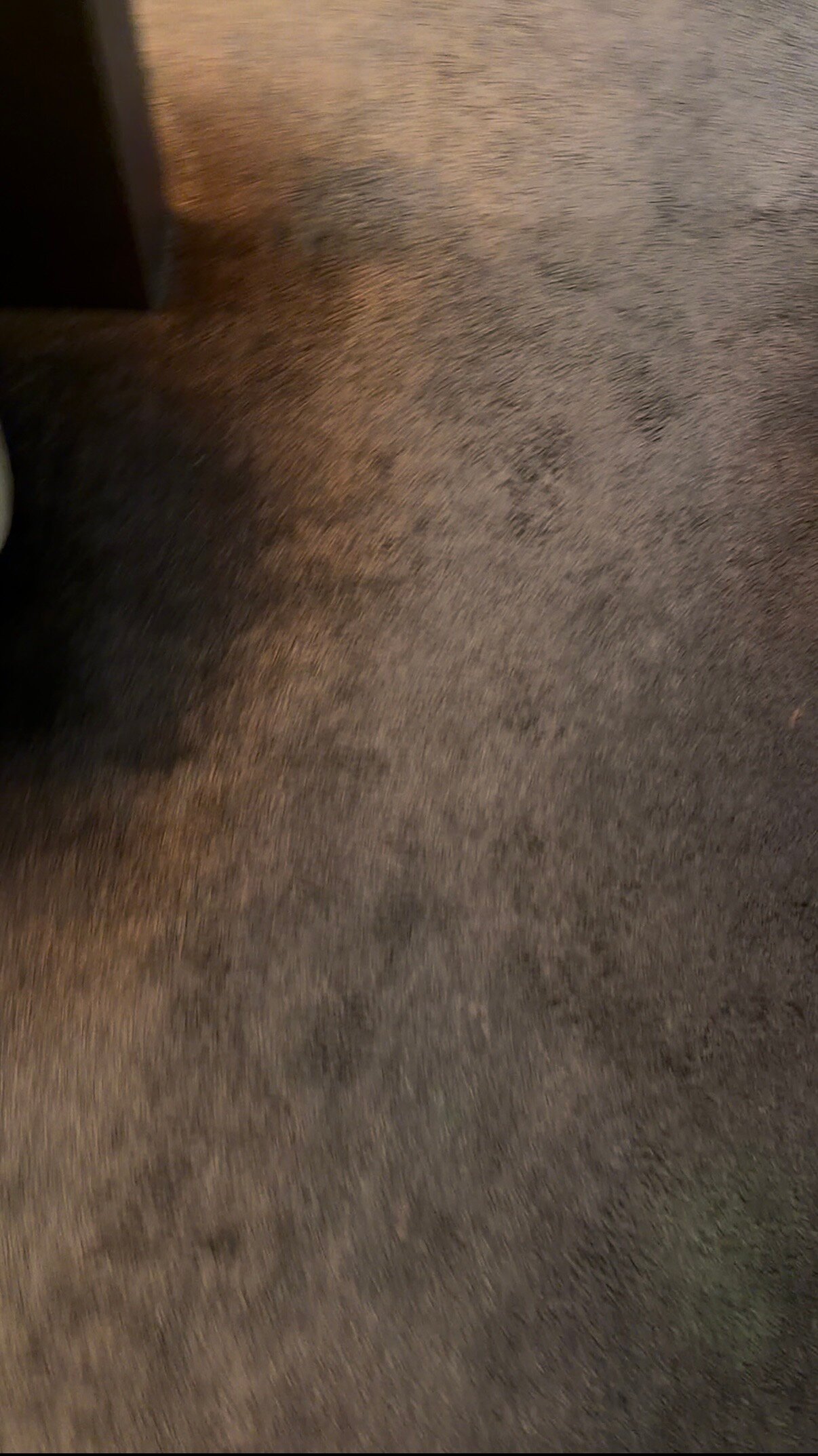 La Cour Des Consuls Hôtel & Spa Toulouse - Mgallery-官方