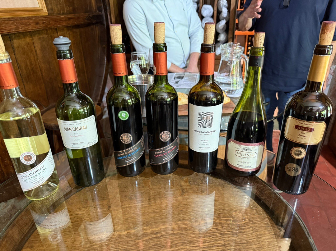 Bodegas Carrau-蒙得维的亚必去景点