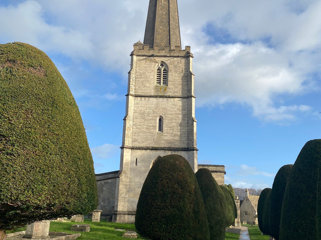 The Falcon Painswick主图