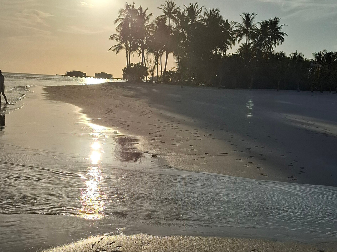 Riu Atoll House Reef-Gadifuri必去景点