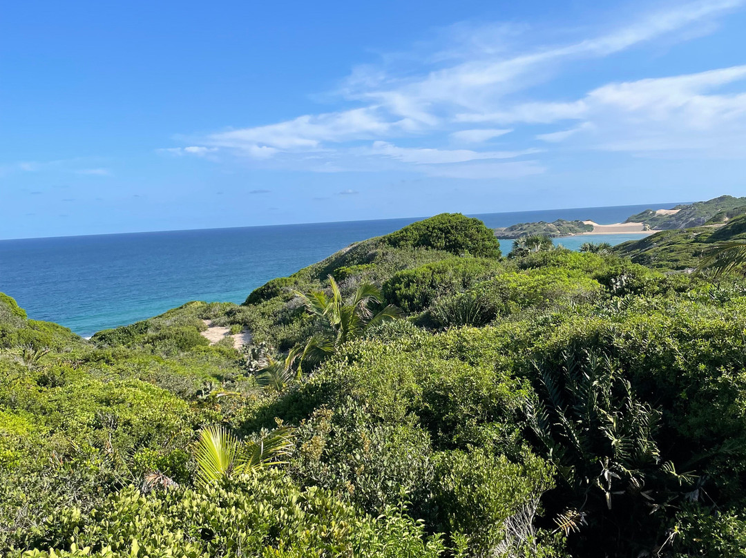 Lagoon Sunset Tour & Travel-Inhambane必去景点
