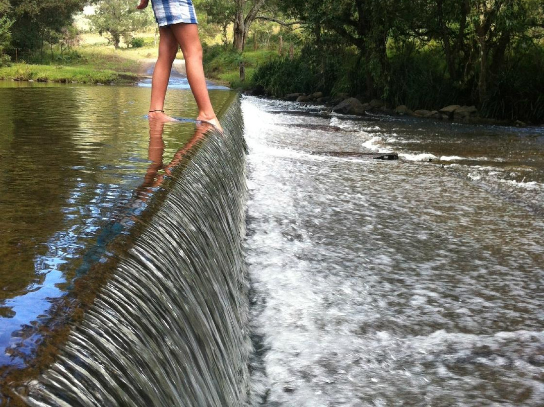 Goldies Place Rainforest Bed and Breakfast主图