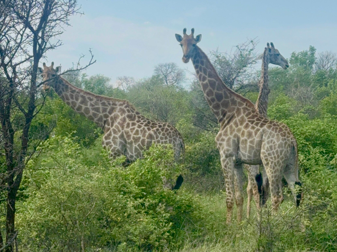 Toro River at Toro River Lodges-霍德斯普鲁特必去景点