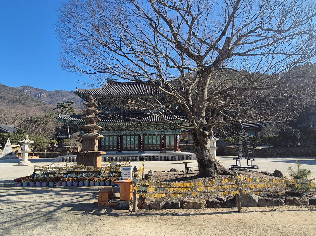 Dogapsa Temple-灵岩郡必去景点