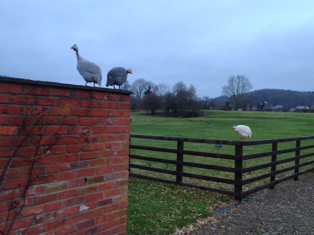 Brickfields Farm主图