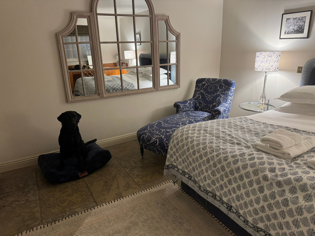 The White Swan Inn主图