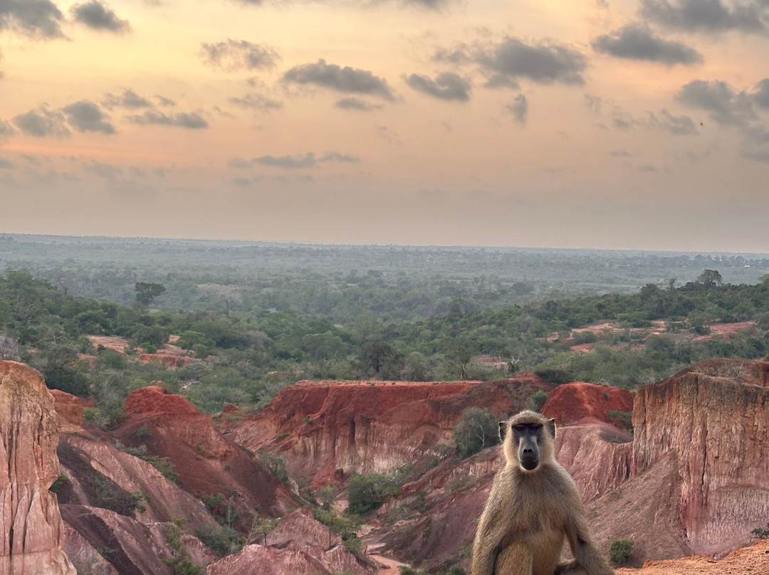 Totti Kenya-安博塞利国家公园必去景点
