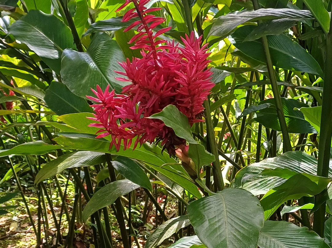 Jardin Botanique de Valombreuse-Petit-Bourg必去景点