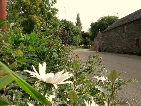 Clone House Bed And Breakfast主图