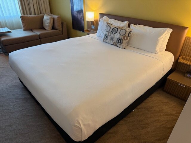 奥克兰艾勒斯利诺富特酒店主图