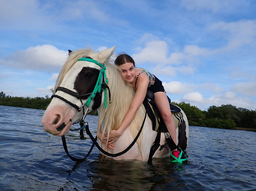 C Ponies Beach Horseback Rides-布雷登顿必去景点