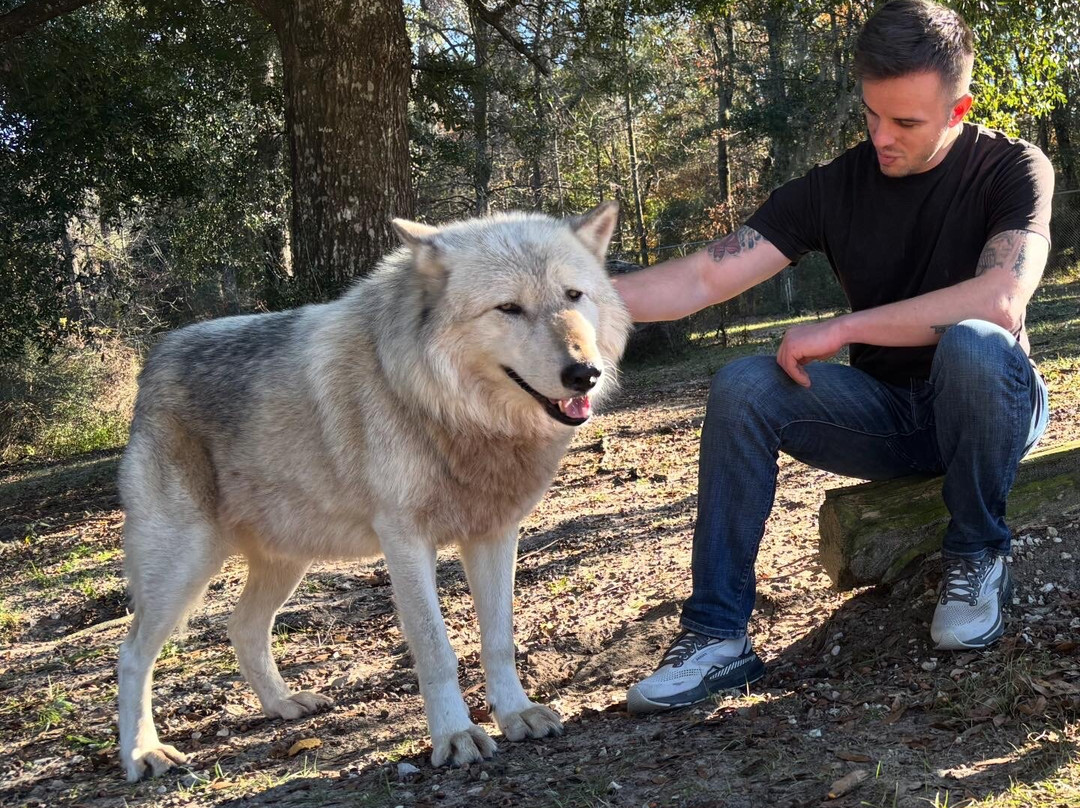 Seacrest Wolf Preserve-Chipley必去景点