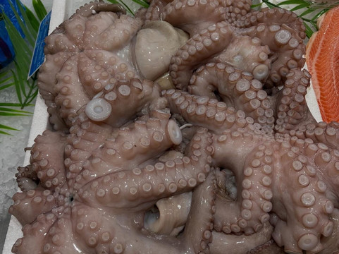 Wagner Municipal Market-米兰必去景点