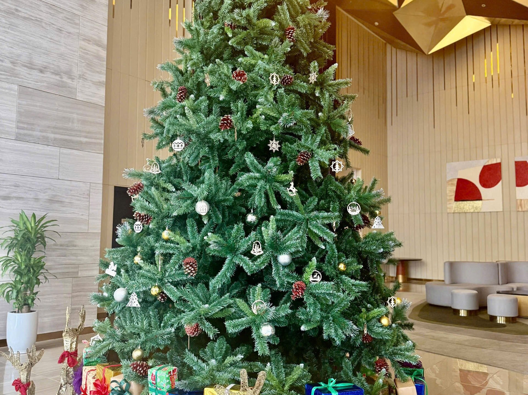 Vinpearl Ha Tinh, Affiliated By Meliá主图