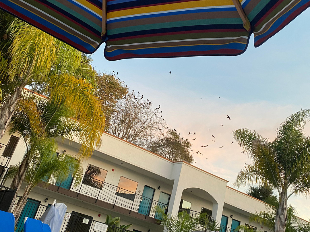 牛津皮斯莫比奇套房酒店主图