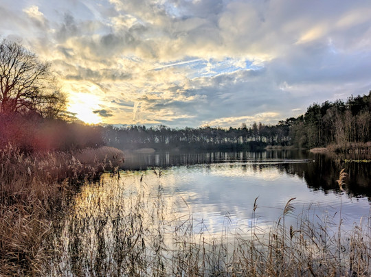 Mere Sands Wood Nature Reserve-Rufford必去景点
