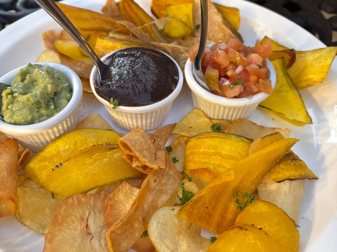 Hotel Villa San Ignacio主图